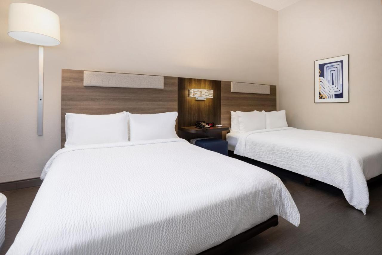 Holiday Inn Express And Suites Tampa I-75 At Bruce B. Downs By Ihg מראה חיצוני תמונה